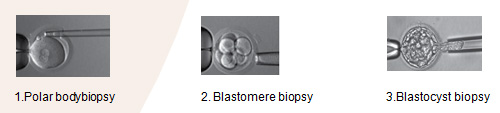 Biopsy methods