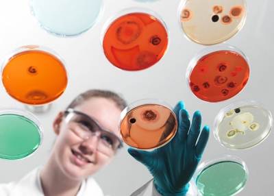 Microbiological - biochemical laboratory