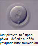 gonimopoiisi2